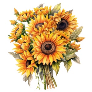 May include: A watercolor illustration of a bouquet of sunflowers. The sunflowers have bright yellow petals and dark brown centers. The bouquet is tied together with twine and features green leaves and stems.