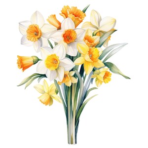 May include: Watercolor illustration of a bouquet of daffodils. The flowers have white petals with bright yellow and orange centers. Green leaves and stems complete the arrangement, set against a white background.