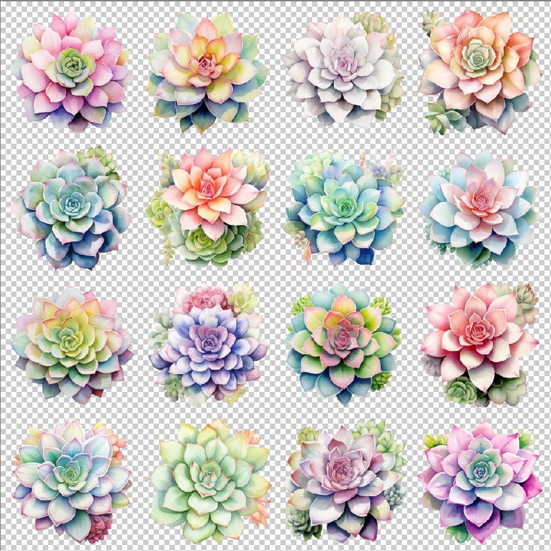 16 Watercolor Succulents Clipart Botanical Graphics - Digital Download ...