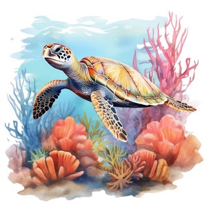 6 Aquarell Meeresschildkröten-Korallenriff-Clipart-Grafiken - Druckbare PNG-Dateien für den kommerziellen Gebrauch, transparenter Hintergrund - Papiermodell, Journals