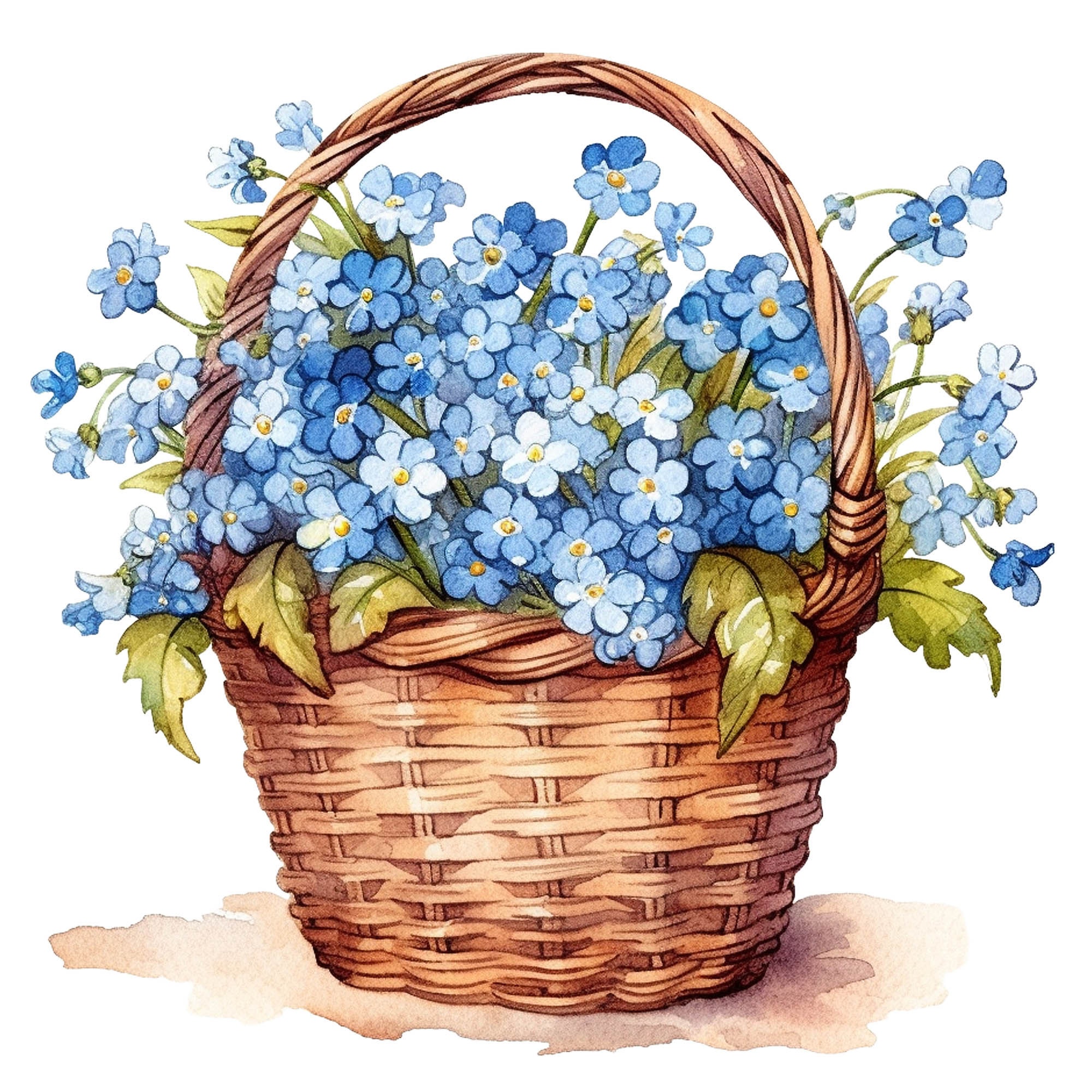 12 Forget Me Not Flowers Clipart Watercolor Graphics Digital - Etsy