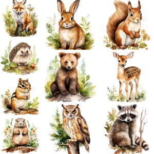 10 illustrations d'animaux de la forêt à l'aquarelle – Fichiers PNG imprimables, loisirs créatifs, cartes