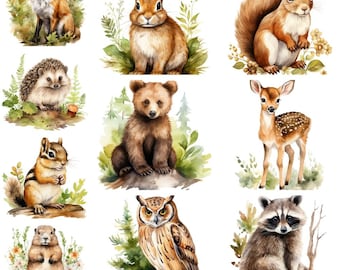 10 Watercolor Woodland Animals Clipart Graphics – Printable PNG Files, Papercraft, Cards