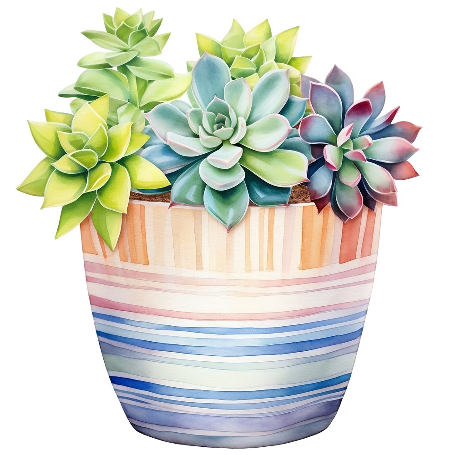 10 Pastel Succulents Watercolor Clipart Graphics - Digital Download PNG ...