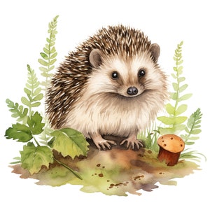 10 Cute Woodland Animals Clipart Watercolor Graphics - Digital Download PNG Files For Commercial Use Transparent Background - Papercraft