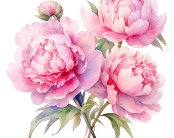 May include: A bouquet of three pink peonies with green leaves and stems. The peonies are in full bloom and have a soft, delicate appearance.
