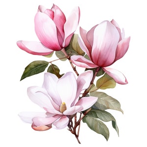 10 Watercolor Pink Magnolias Floral Clipart - Digital Download PNG Files For Commercial Use Transparent Background - Cards, Papercraft