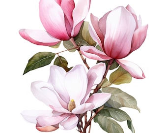 May include: A watercolor painting of three pink magnolia flowers with green leaves. The flowers are in bloom and have a delicate, feminine appearance.
