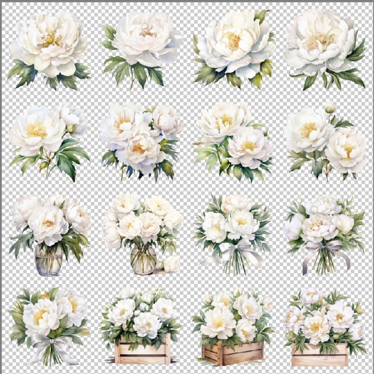 Watercolor White Peonies Clipart Graphics - Digital Download PNG Files ...