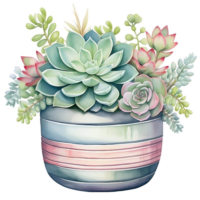 10 Cute Pastel Succulents Watercolor Clipart Graphics Digital Download ...