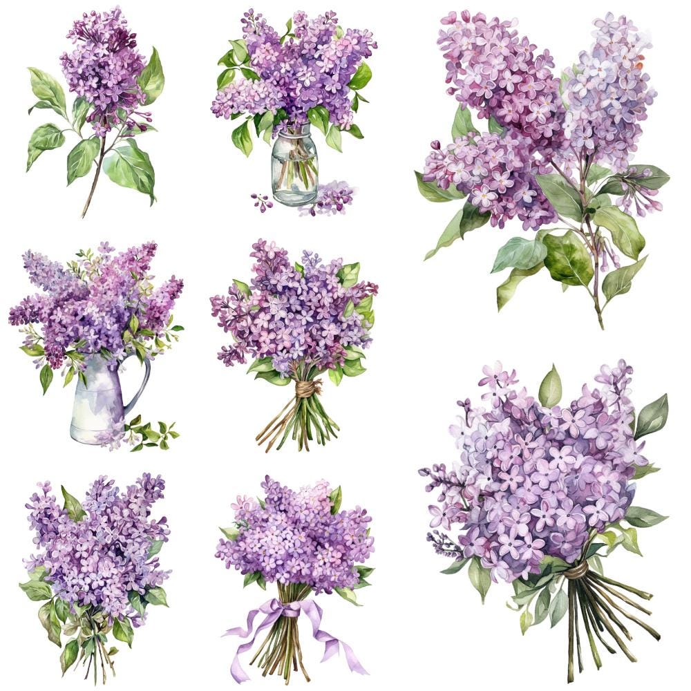 8つの水彩画 紫色のライラックの花のクリップアート – PNGグラフィック