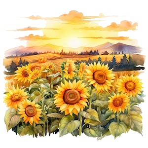 10 gouden uur zonnebloemvelden aquarel clipart-afdrukbare PNG-bestanden voor commercieel gebruik transparante achtergrond-papercraft, tijdschriften