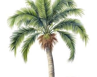 18 Watercolor Palm Trees Clipart Graphics - Digital Download PNG Files - Transparent Background - Cards, Papercraft