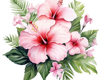 10 Watercolor Pink Hibiscus Floral Clipart - Digital Download PNG Files Transparent Background