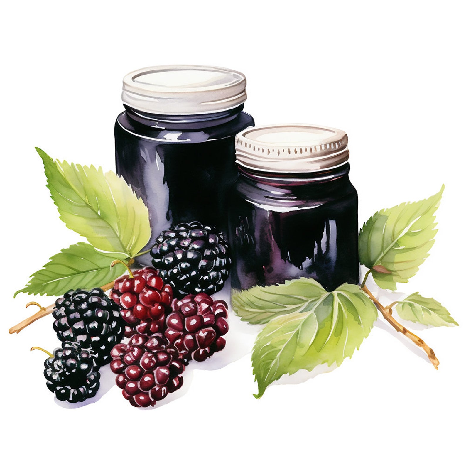 6 Fruit Jam Clipart Watercolor Graphics - Printable PNG Files ...