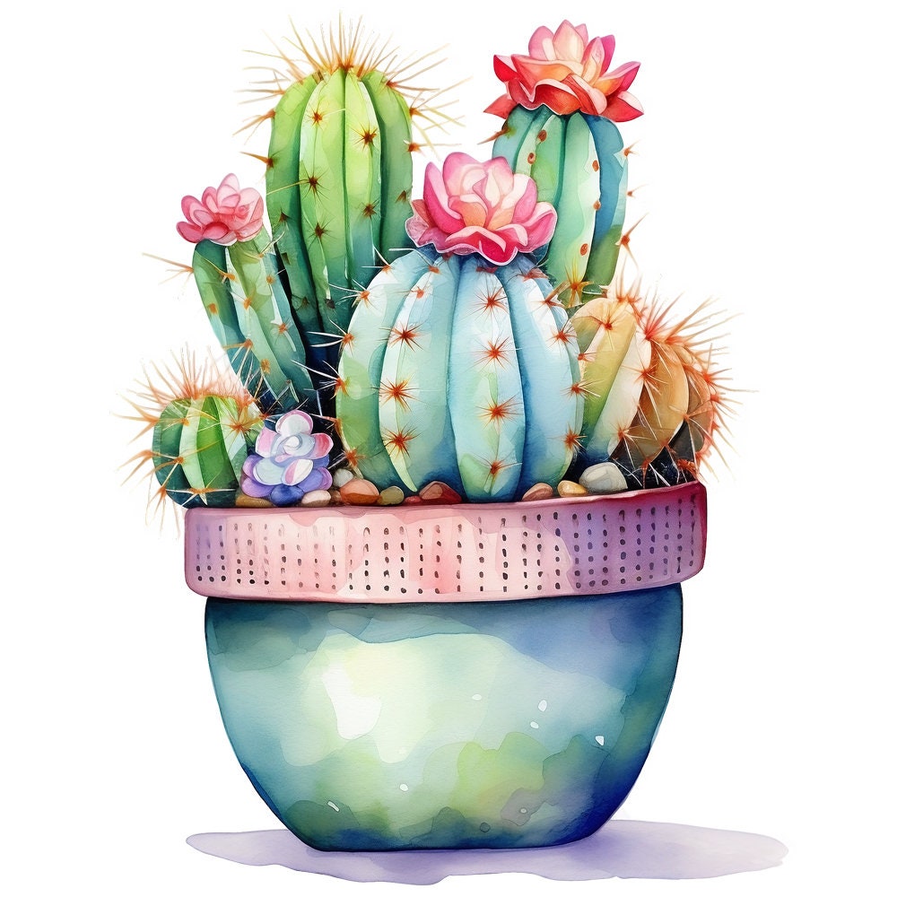 Watercolor Potted Cactus Clipart Graphics - Printable PNG Files ...