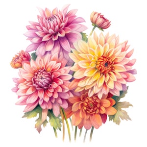 May include: A watercolor illustration of a bouquet of dahlias in shades of pink, peach, and yellow. The flowers have layered petals and are surrounded by green leaves and stems. The image is set against a white background.
