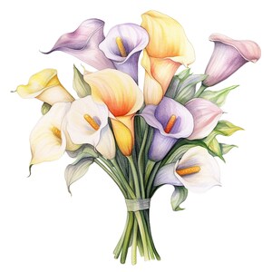 May include: A watercolor illustration of a bouquet of calla lilies. The flowers are in shades of white, yellow, orange, and purple, with green leaves and stems. The bouquet is tied with a light green ribbon.