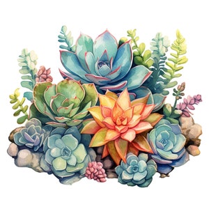 15 Watercolor Succulent Garden Clipart Botanical Graphics - Digital Download PNG Files, Commercial Use, Transparent Background - Papercraft