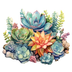 15 Watercolor Succulent Garden Clipart Botanical Graphics - Digital Download PNG Files, Commercial Use, Transparent Background - Papercraft