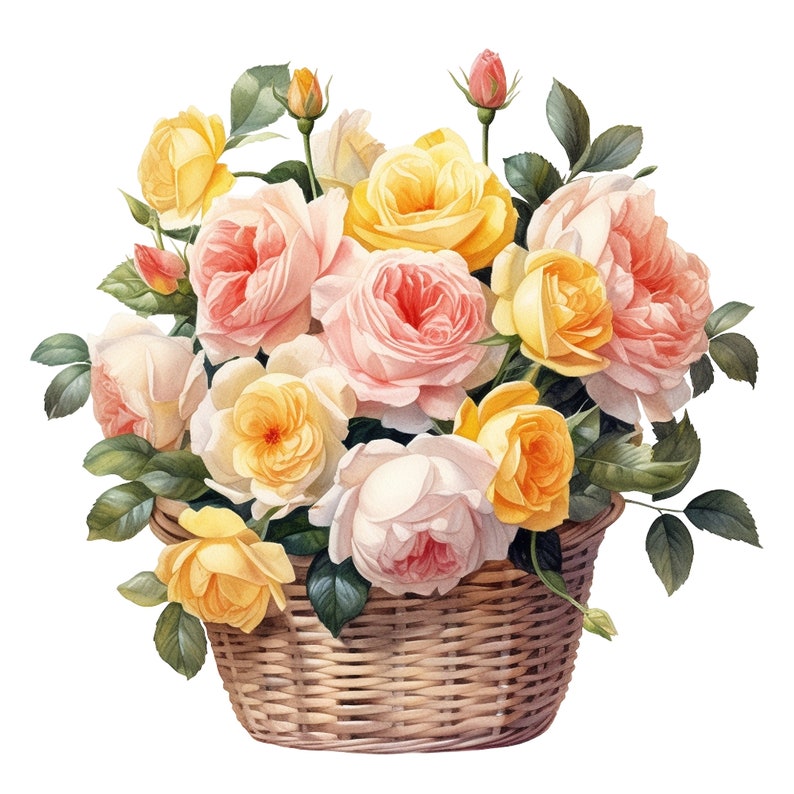 12 Watercolor Basket of English Roses Clipart Digital - Etsy