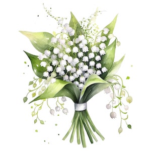 10 aquarel Lily of the Valley Floral Clipart - digitale Download PNG-bestanden voor commercieel gebruik transparante achtergrond - kaarten, Papercraft