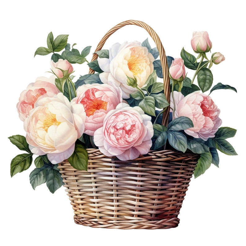 12 Watercolor Basket of English Roses Clipart Digital - Etsy