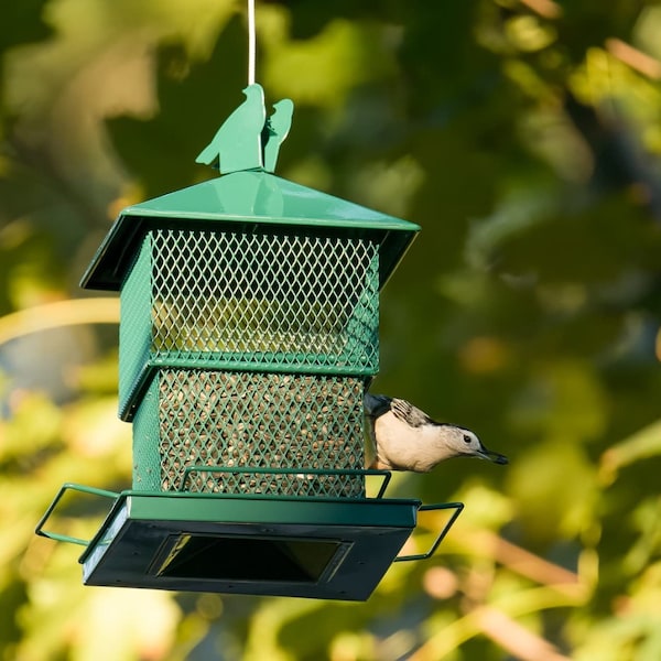 Heavy Duty and Easy-Refill Top Green Bird Feeder Supports Cardinal Finch Blue Jay and Wild Birds Outdoor 6.2 Lbs Large Capacity Bird Feeders