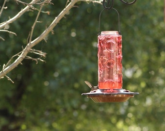 28 oz Glass Hummingbird Feeders for Wild Bird Feeder Garden Tree Metal Handle Hanging with 5 Feeding Ports Red Water Feeder Easy Refill Top