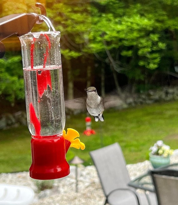 Window Cling Hummingbird Feeder Outdoor Suction Mount Red Humming Bird Glass Jar Window Cling Hummingbird Feeder Outdoor Suction Mount Red Humming Bird Glass Jar