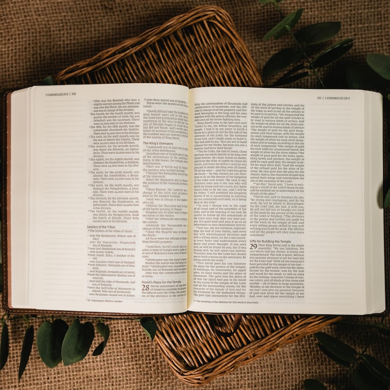 Op de afbeelding: Een open boek met tekst, met een bruine leren kaft, rust op een gevlochten mand. De pagina's zijn gevuld met gedrukte tekst. Groene bladeren zijn verspreid rond het boek en de mand.