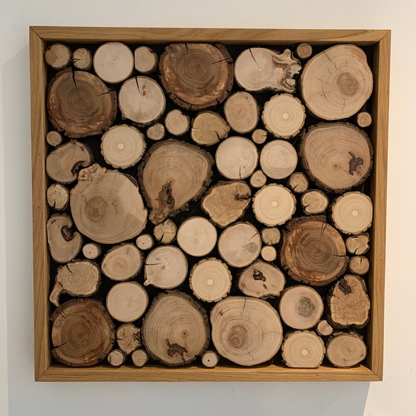Wanddeko mit Astscheiben / Holzscheiben; Bild von Baumscheiben im Rahmen, Wandkunst Holzscheiben, Natur Bild