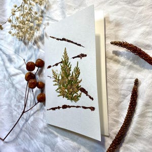Weihnachtskarte, Nicolaskarte, Grußkarte, Winterkarte, Weihnachtsgrußkarte, gepresste Blumen, Blumenkarte, Blattgold, Tannenbaumkarte, Silbe