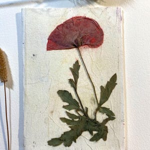 Carte de vœux avec fleurs pressées, carte d'anniversaire, carte de félicitations, vraies fleurs, carte, vraies fleurs, carte cadeau, printemps