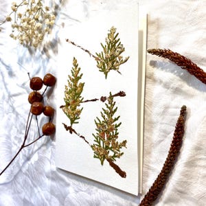 Weihnachtskarte, Nicolauskarte, Weihnachtsgrußkarte, Gold, Silber, Winter, Tannebaumkarte,