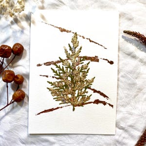 Weihnachtskarte, Nicolauskarte, Grußkarten, Weihnachtsgrußkarte, Gold , Silber, Nicolaustag, Karte