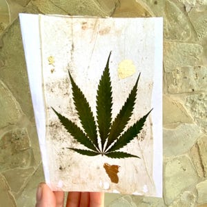Cartão com folhas prensadas, flores prensadas no cartão, folha de ouro,