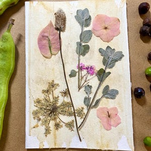 Biglietto d'auguri con fiori pressati, biglietto d'auguri, biglietto di auguri, fiori veri, biglietto, fiori veri, biglietto regalo, primavera