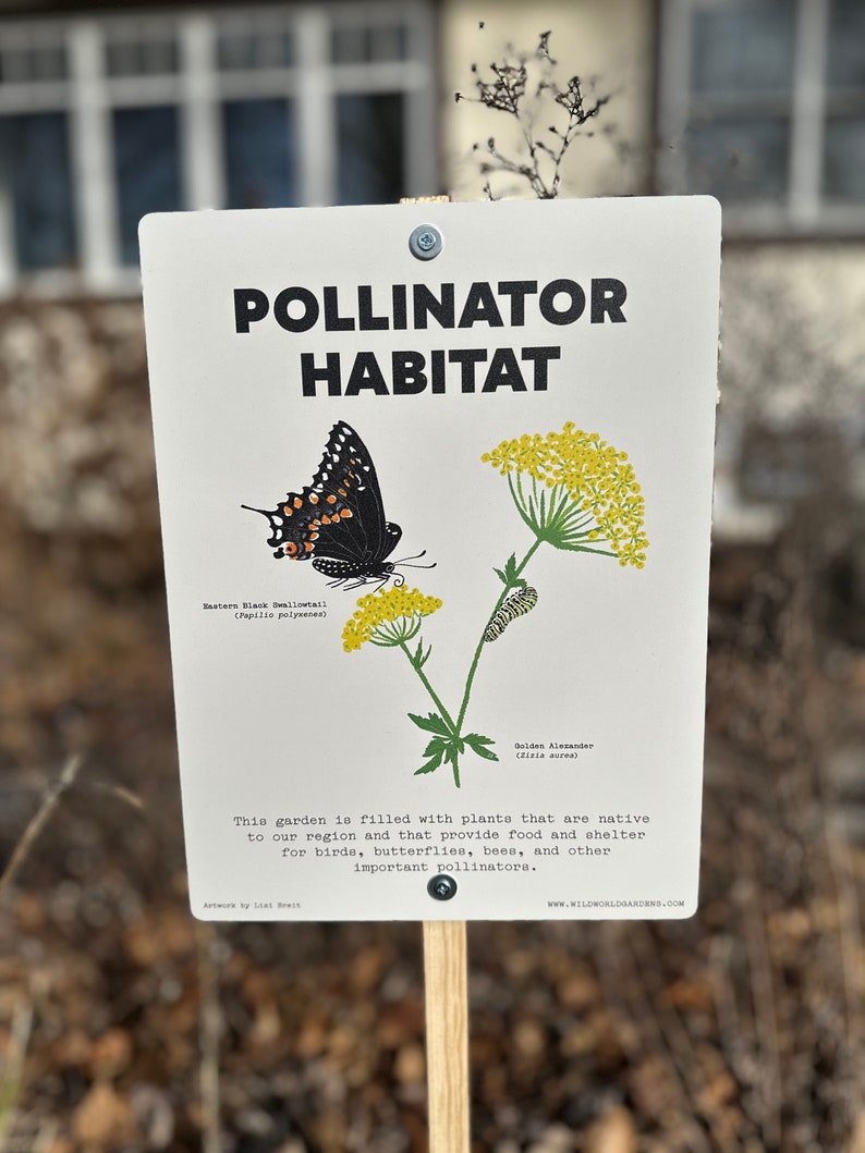 Op de afbeelding: Een wit bord met zwarte tekst dat "Pollinator Habitat" aangeeft. Het bord toont illustraties van een vlinder, een rups en gele bloemen. De tekst geeft ook aan dat de tuin gevuld is met planten die inheems zijn in de regio en voedsel en beschutting bieden voor vogels, vlinders, bijen en andere belangrijke bestuivers.