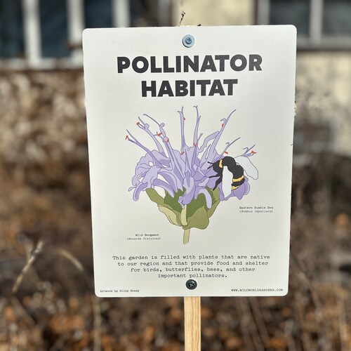 Native Plant Garden Sign | Pollinator Habitat Sign | Pollinator Garden Sign | Native Plant Yard Sign | Cue to Care
