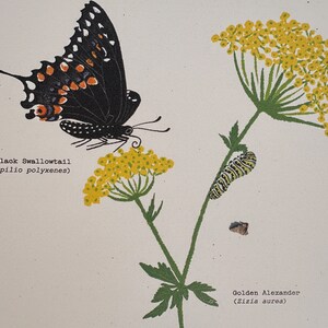 Native Plant Garden Sign | Pollinator Habitat Sign | Pollinator Garden ...