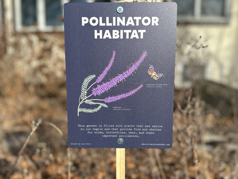 Peut inclure: Un panneau noir avec du texte blanc qui indique "Habitat des pollinisateurs". Le panneau pr&eacute;sente une illustration de fleurs violettes et d'un papillon. Le texte sous l'illustration indique "Ce jardin est rempli de plantes indig&egrave;nes &agrave; notre r&eacute;gion et qui fournissent de la nourriture et un abri aux oiseaux, aux papillons, aux abeilles et &agrave; d'autres pollinisateurs importants."