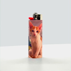 Puede incluir: Un encendedor con una foto de un gato blanco y naranja. El gato est&aacute; mirando directamente a la c&aacute;mara.