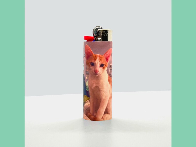Puede incluir: Un encendedor con una foto de un gato blanco y naranja. El gato est&aacute; mirando directamente a la c&aacute;mara.