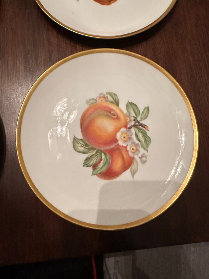 6 Vintage Hutschenreuther Selb 8inch Fruit Plates With Gold Trim From