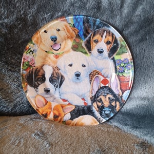 Stunning Glass Plate With Puppies, Dogs, Cute Decor, Unique Candle Holder,  Decorative Glass, Snack Tray, Versatile