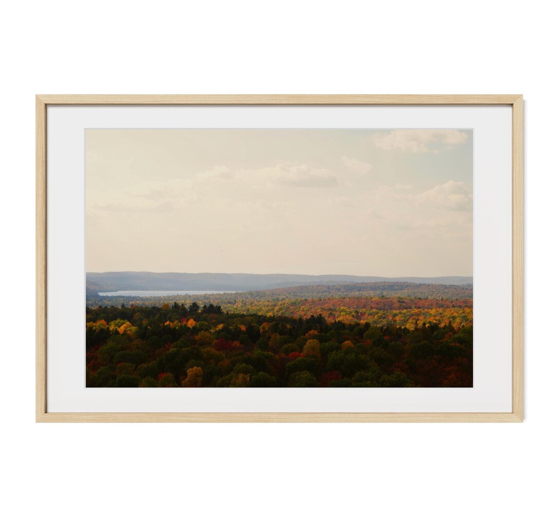 Framed Fall Wilderness Print | Fine Art Coloured Woods Photograph ...