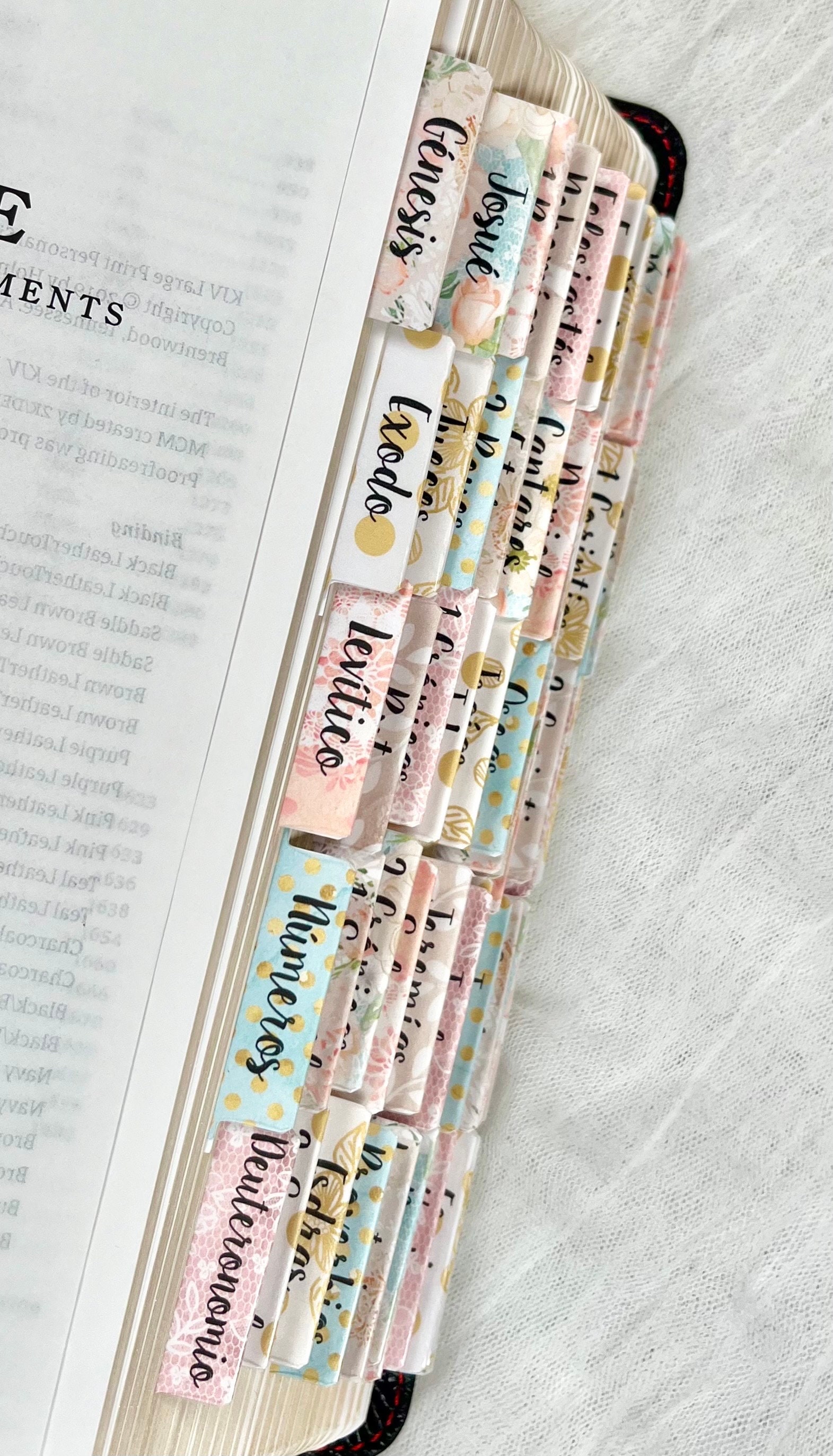 Spanish Bible Tabs - Laminated Bible Tabs - Christian Gifts - Bible ...