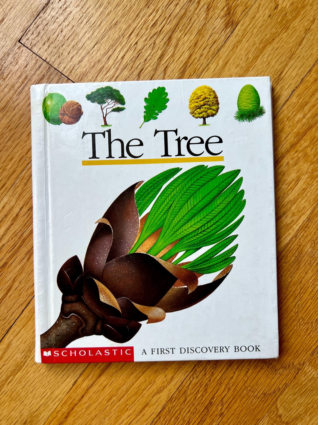 Science Tree Books The Tree / Vintage 1990s Children's Science Book / A First Discovery ...