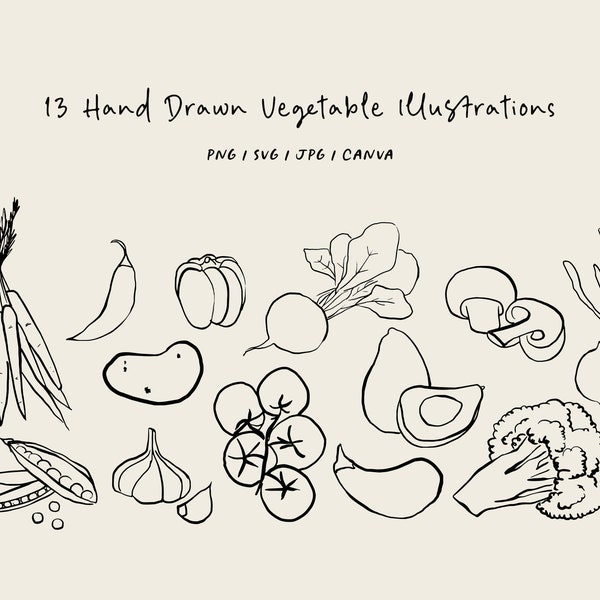 Hand drawn vegetables SVG, PNG, CANVA. Illustration for invitation, stationery or branding. Vegetables clipart. Food art sketch